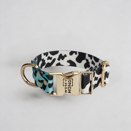 Halsband Aqua Camo